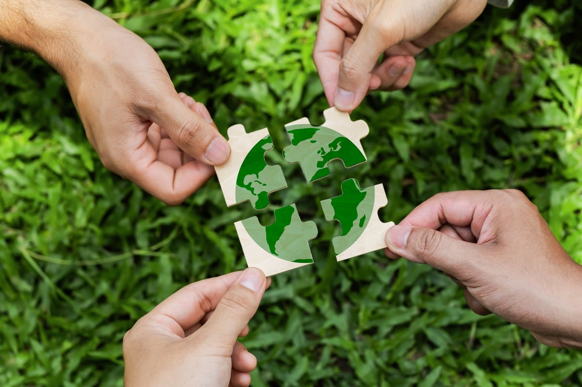Group of volunteers help solve environmental problems